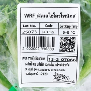 วีอาร์เฟรช ฟิลเล่ซ์ไอส์เบิร์กไฮโดร 100 ก._thumbnail_2