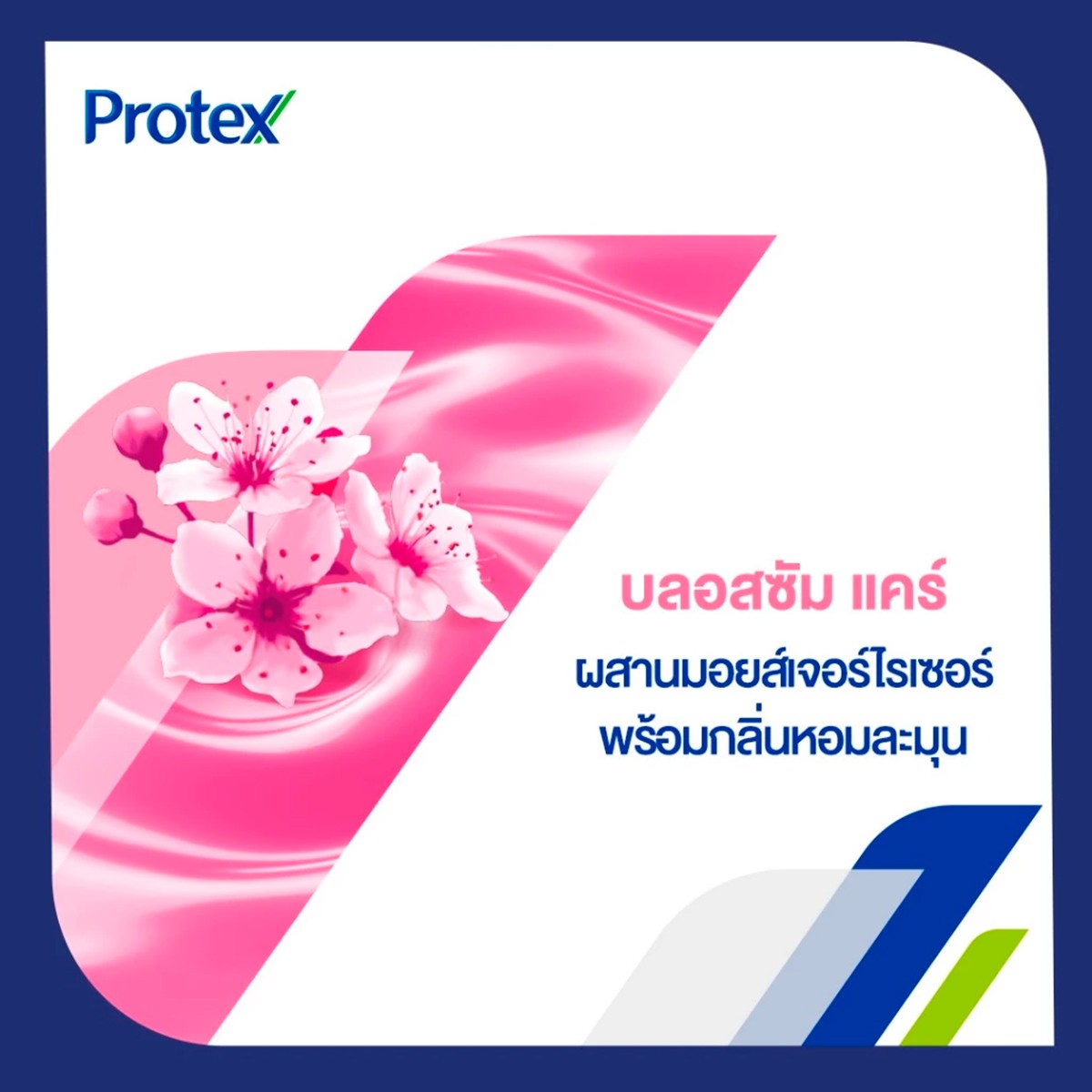 โพรเทคส์ บลอสซัม แคร์ ครีมอาบน้ำ 600 มล. แพ็ค 1+1_5