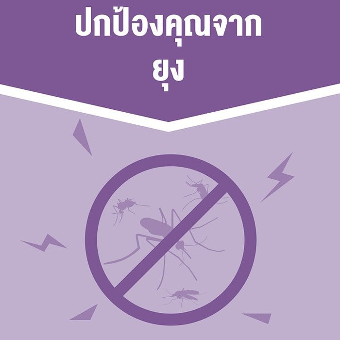 ไบกอน ยาจุดกันยุง กลิ่นดอกลาเวนเดอร์ 12 ขด_2