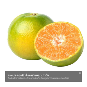 ธนาธร ชุดของขวัญมงคลกล่องทอง ส้มสายน้ำผึ้ง 8 ผล_thumbnail_1