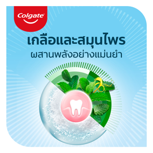 คอลเกต ยาสีฟัน สูตรเกลือสมุนไพร 150 ก. แพ็ค 3_thumbnail_6