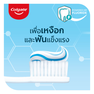 คอลเกต ยาสีฟัน สูตรเกลือสมุนไพร 150 ก. แพ็ค 3_thumbnail_8