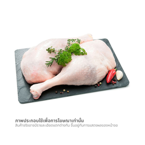ดีซี ปีกบนเป็ด