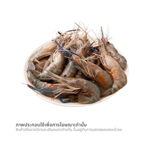 กุ้งนาง (เฉลี่ย 30-40 ตัว / กก.)