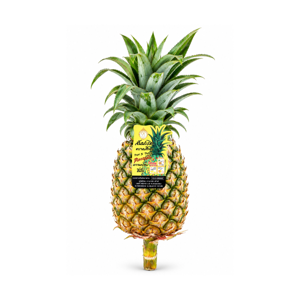 Thai Golden Pineapple