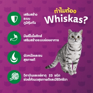 วิสกัส อาหารแมวชนิดเม็ด สูตรแมวโต รสปลาทูน่า 7 กก._thumbnail_4