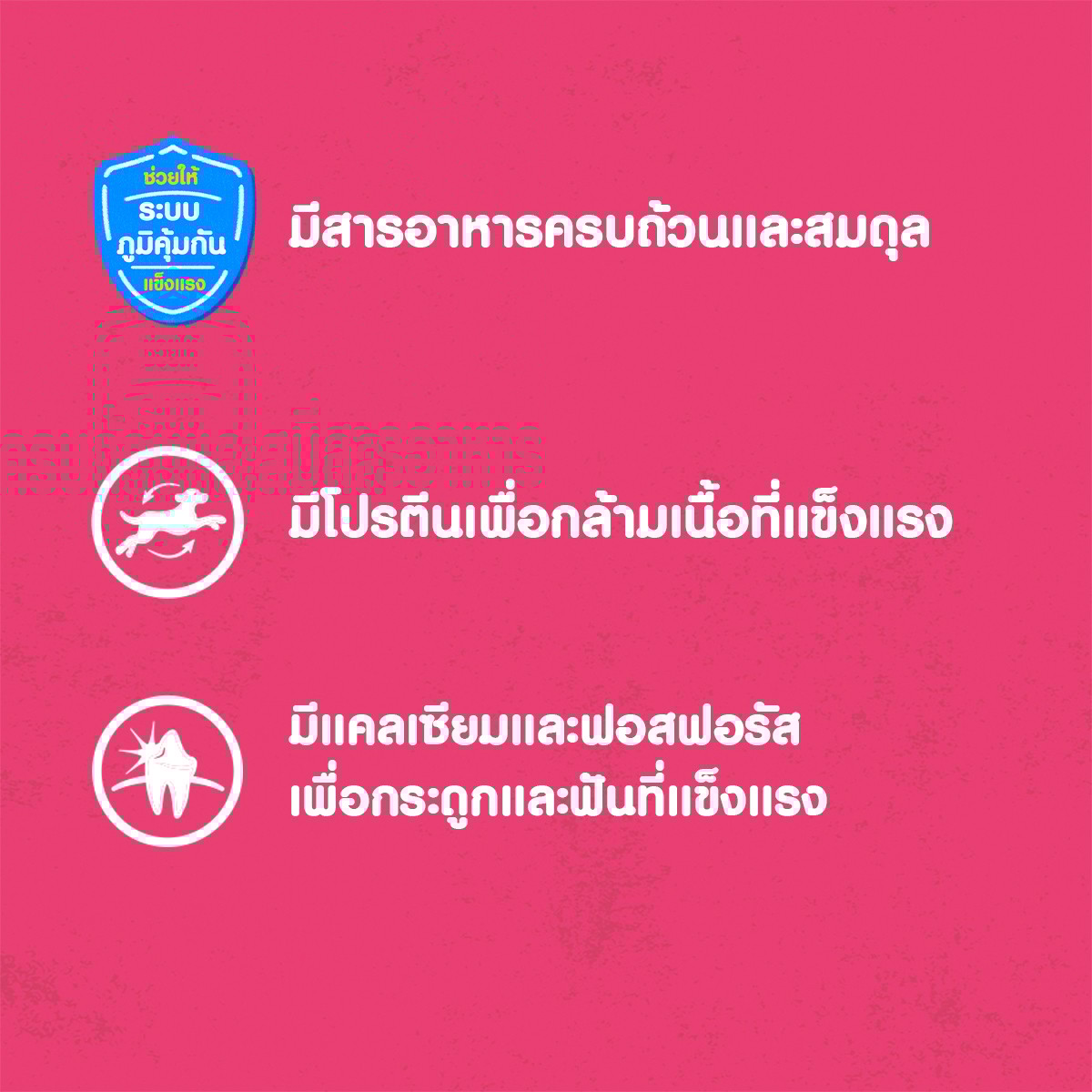 เพดดิกรี อาหารลูกสุนัขแบบเปียก รสวัว ไข่บดพร้อมผัก 80 ก._4