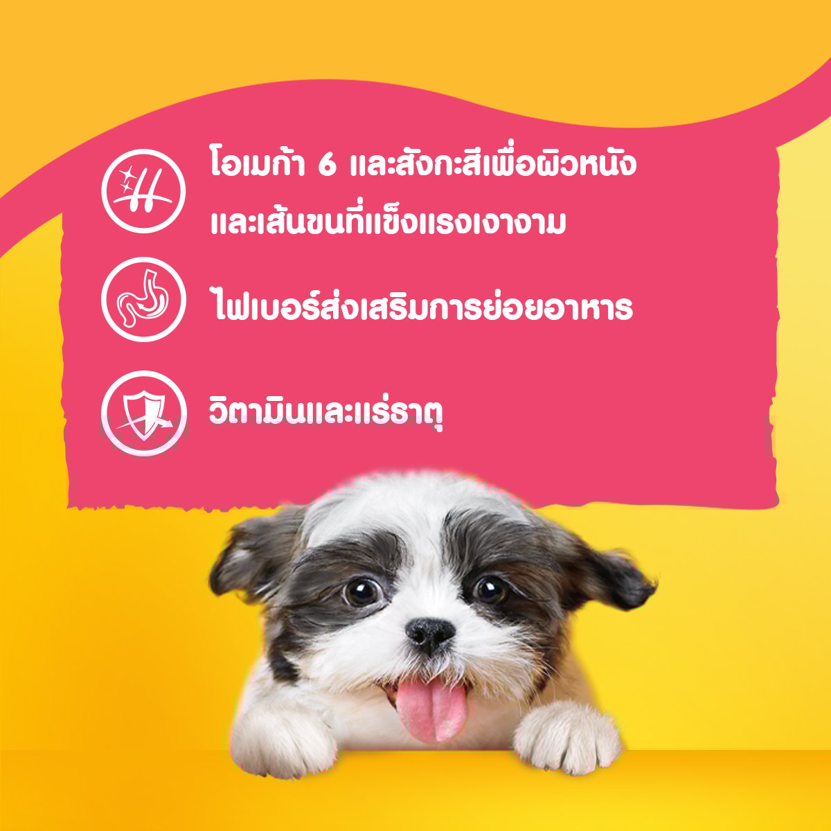 เพดดิกรี อาหารลูกสุนัขแบบเปียก รสวัว ไข่บดพร้อมผัก 80 ก._5