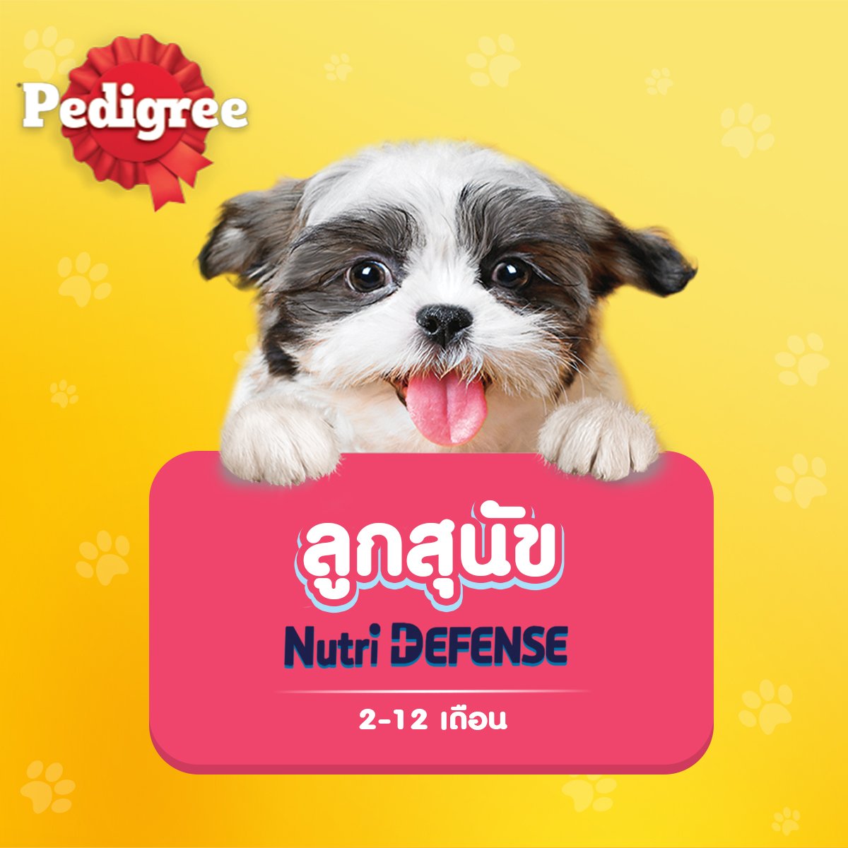 เพดดิกรี อาหารลูกสุนัขแบบเปียก รสวัว ไข่บดพร้อมผัก 80 ก._7