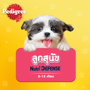 เพดดิกรี อาหารลูกสุนัขแบบเปียก รสวัว ไข่บดพร้อมผัก 80 ก._thumbnail_7
