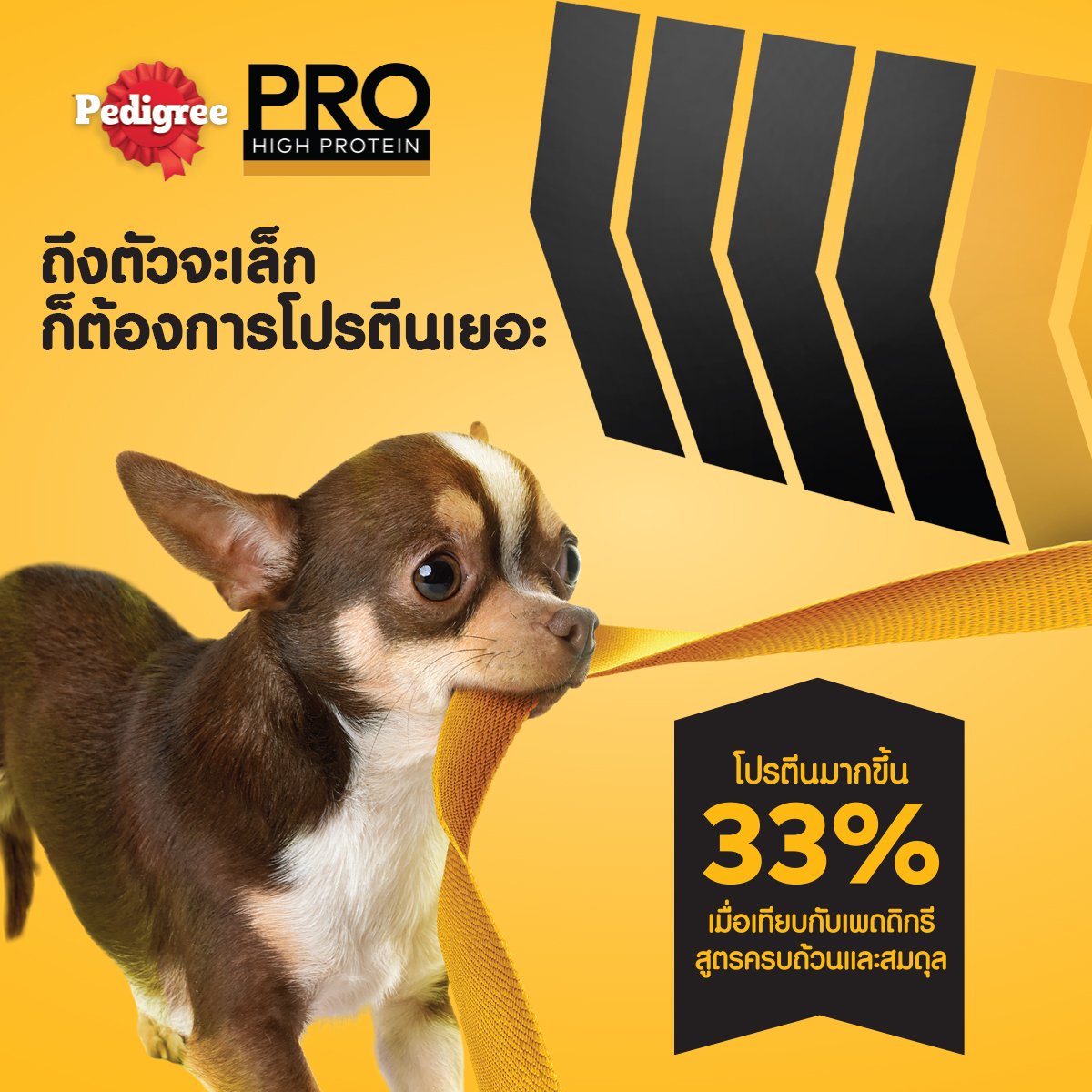 เพดดิกรี โปร อาหารสุนัขโตพันธุ์ทอยและเล็ก ชนิดเม็ด 2.7 กก._3