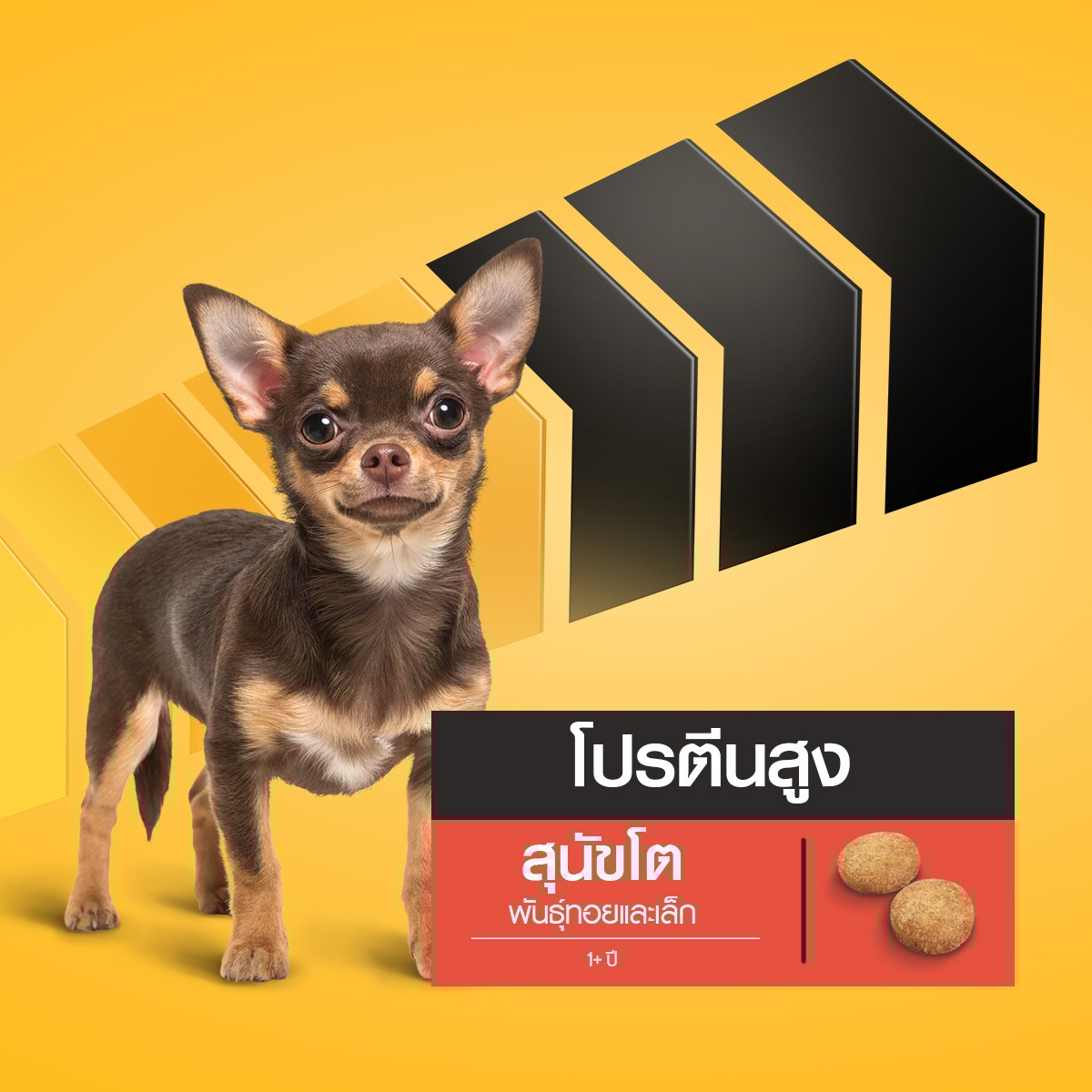 เพดดิกรี โปร อาหารสุนัขโตพันธุ์ทอยและเล็ก ชนิดเม็ด 2.7 กก._7