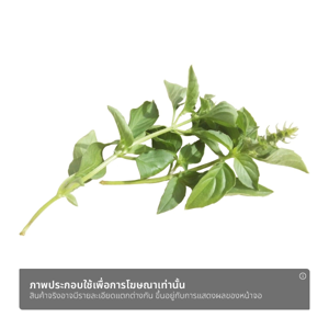 วีอาร์เฟรช ใบแมงลัก 50 ก._thumbnail_1