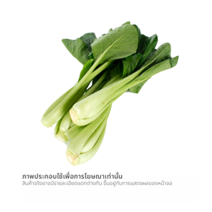 โครงการหลวง ผักกาดกวางตุ้งอินทรีย์ 300 ก._thumbnail_1