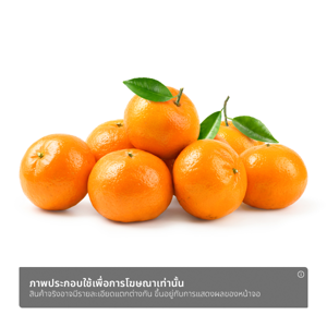 ส้มแมนดารินออสเตรเลีย_thumbnail_1