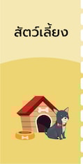 desktop_coupon_PET50