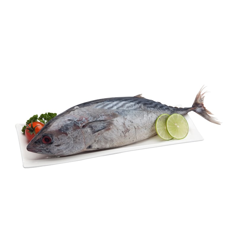 Tuna Per Kg Big C Online