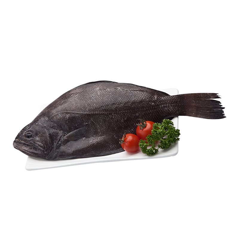 INDIAN HALIBUT SIZE M Per Kg Big C Online