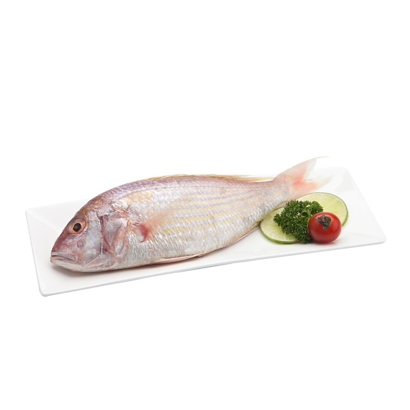 Ornate Threadfin Bream Per Kg Big C Online